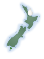 icons-9_1d6fb9dc-63a3-411e-8f1a-c3095d366dc4_medium